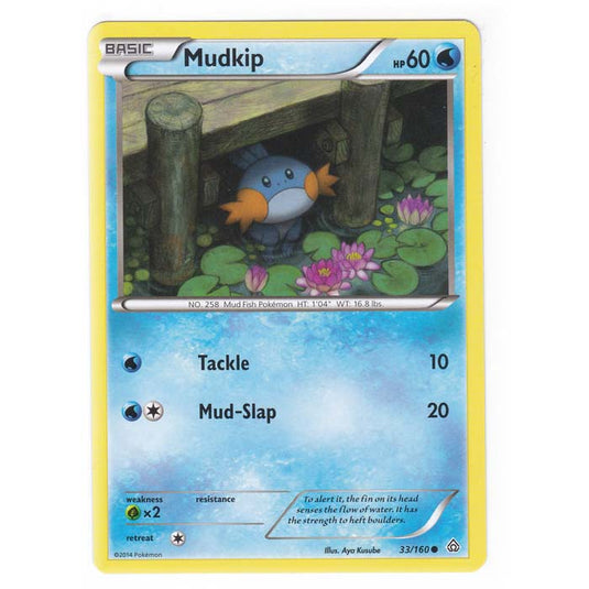 Pokemon - XY Primal Clash - Mudkip - 33/160