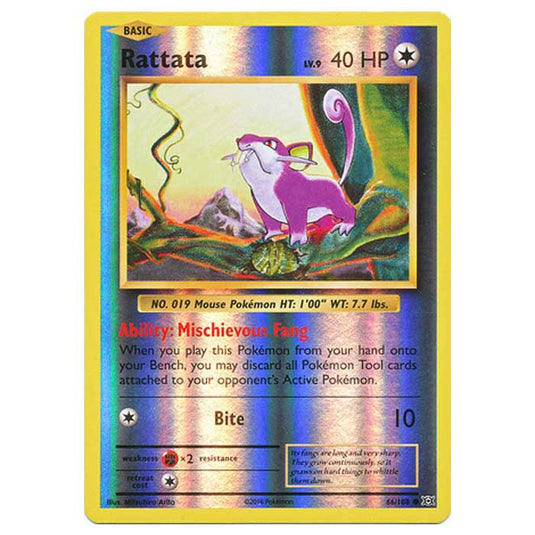 Pokemon - XY Evolutions - (Reverse Holo) - Rattata - 66/108