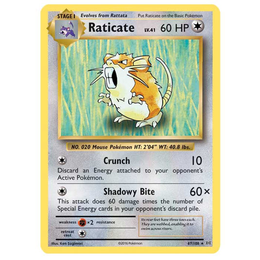 Pokemon - XY Evolutions - Raticate - 67/108