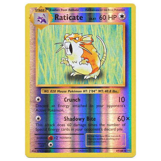 Pokemon - XY Evolutions - (Reverse Holo) - Raticate - 67/108