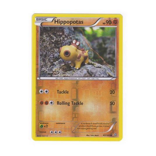 Pokemon - XY Primal Clash - (Reverse Holo) - Hippopotas - 87/160