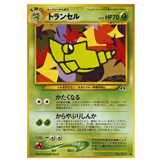 Pokemon - Crossing the Ruins... - Metapod - 6/56