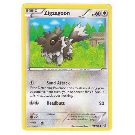 Pokemon - XY Primal Clash - Zigzagoon - 111/160