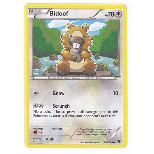 Pokemon - XY Primal Clash - Bidoof - 116/160