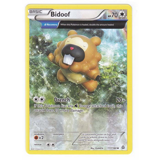 Pokemon - XY Primal Clash - Bidoof - 117/160