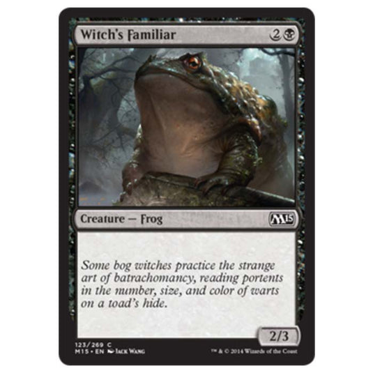 Magic the Gathering - M15 Core Set - Witch's Familiar - 123/269