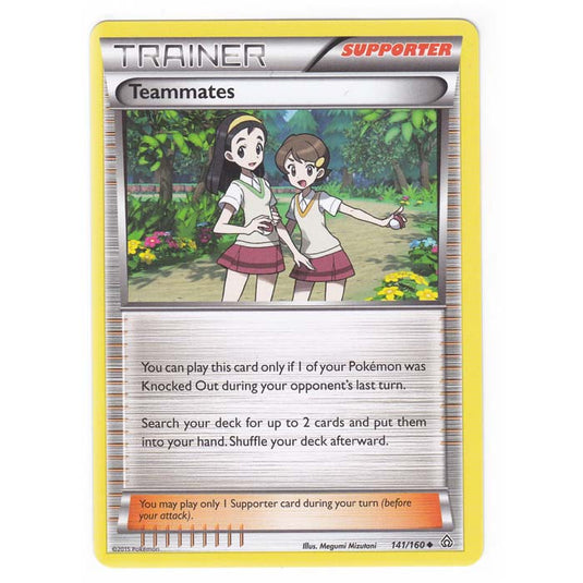 Pokemon - XY Primal Clash - Teammates - 141/160