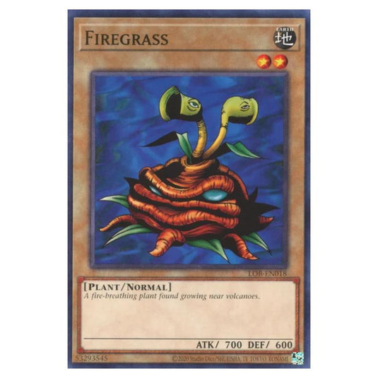 Yu-Gi-Oh! - Legend of Blue Eyes White Dragon (25th Anniversary Edition) - Firegrass (Common) - LOB25-EN018