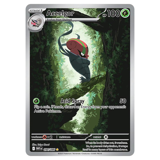 Accelgor 094 card from the Pokemon set White Flare