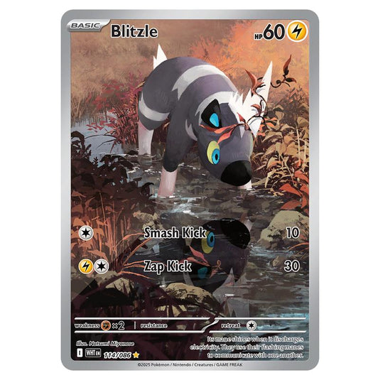 Blitzle 114 card from the Pokemon set White Flare