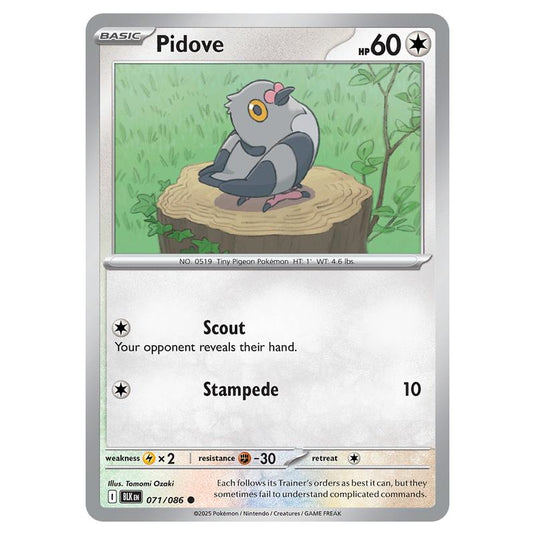 Pidove 071 card from the Pokemon set Black Bolt