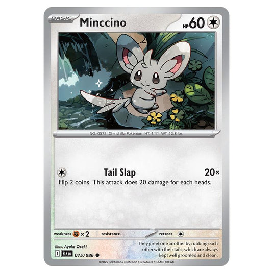 Minccino 075 card from the Pokemon set Black Bolt