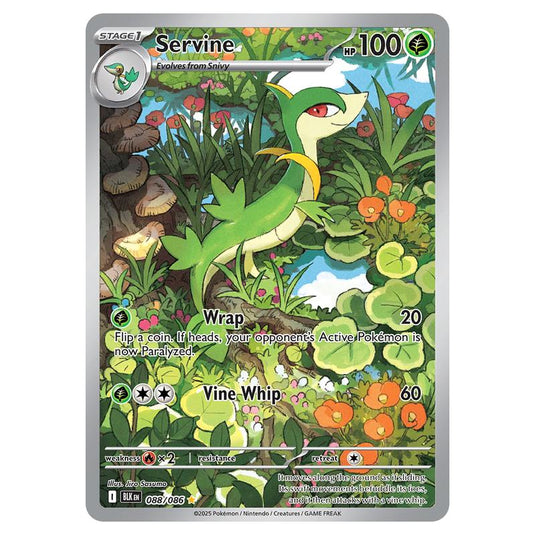 Servine 088 card from the Pokemon set Black Bolt