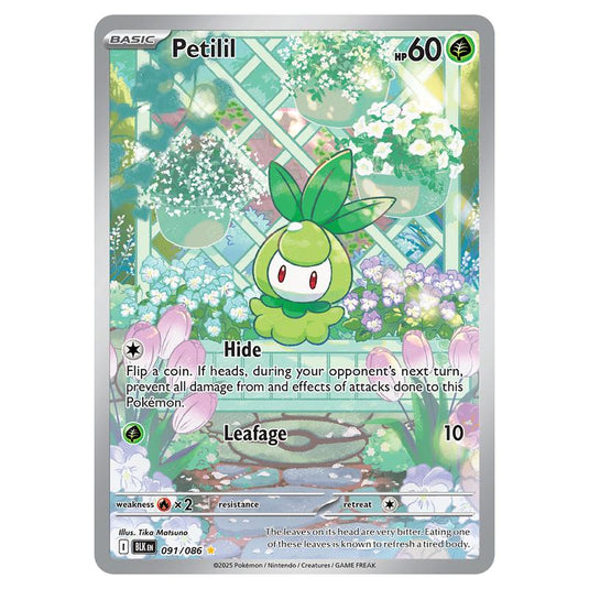 Petilil 091 card from the Pokemon set Black Bolt