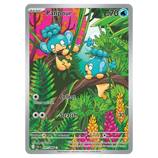 Panpour 101 card from the Pokemon set Black Bolt