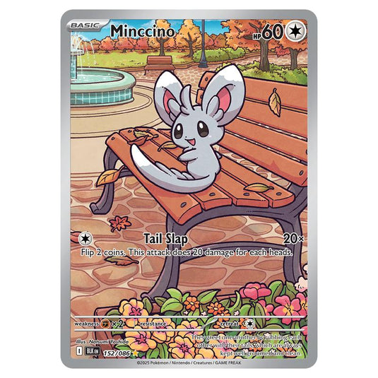 Minccino 152 card from the Pokemon set Black Bolt