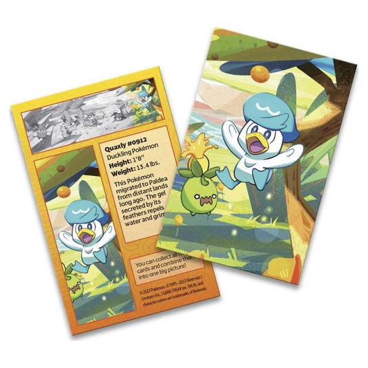 Pokemon - Scarlet & Violet - Paldea Friends -  Mini Tin - Quaxly - Art Card