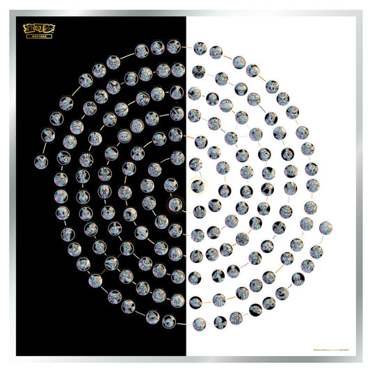 Pokemon - White Flame Burst & Black Thunder Torrent - Coin Display Frame (Simplified Chinese)