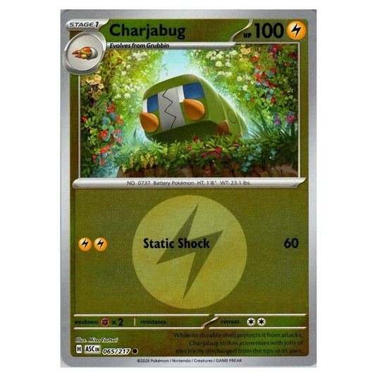 Pokemon - Mega Evolution - Ascended Heroes - Energy Reverse Holo - Charjabug - 065/217