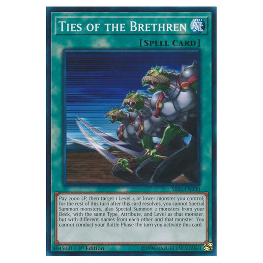 Yu-Gi-Oh! - Structure Deck - Wave of Light - Ties of the Brethren (Common) SR05-EN030