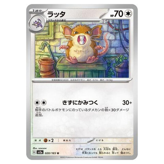 Pokemon - Pokémon Card 151 - Raticate - 020/210