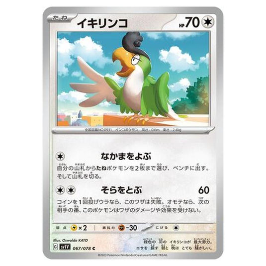 Pokemon - Violet ex - Squawkabilly - 067/108