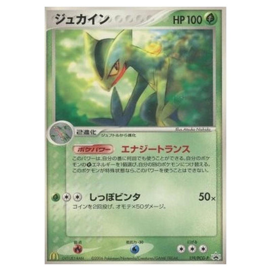 Pokemon - PCG - Promos - Sceptile - 0119/047