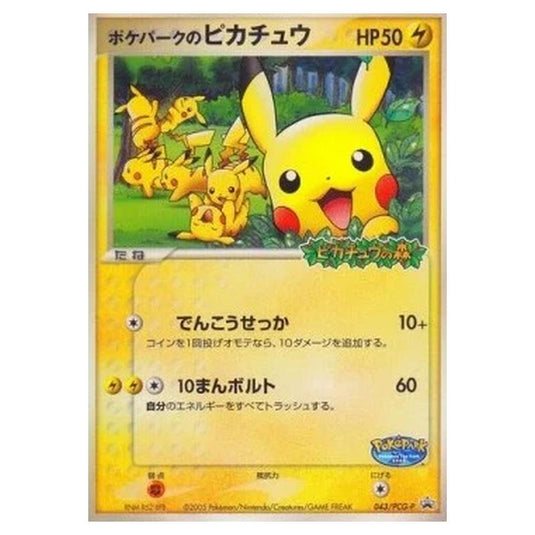 Pokemon - PCG - Promos - PokéPark's Pikachu - 0043/047