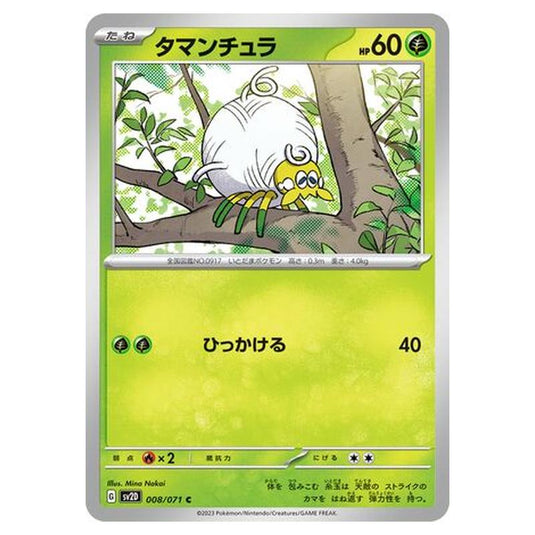 Pokemon - Clay Burst - Tarountula - 008/99
