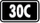 30th Celebration (Chinese)