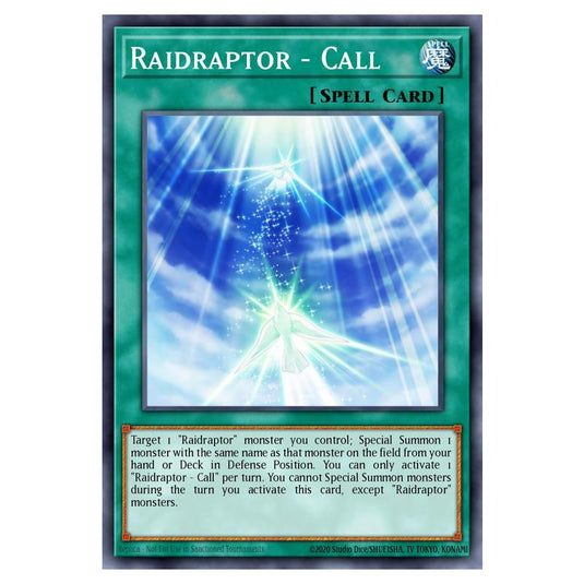 Yu-Gi-Oh! - OTS Tournament Pack 24 - Raidraptor - Call (Common) OP24-EN024