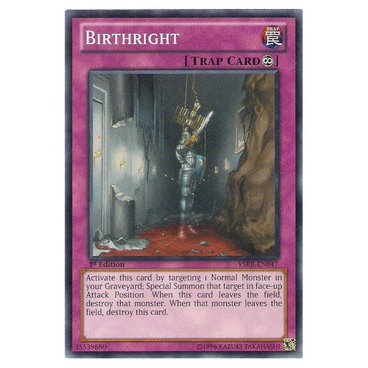 Yu-Gi-Oh! - Starter Deck - Kaiba Reloaded - Birthright (Common) YSKR-EN047