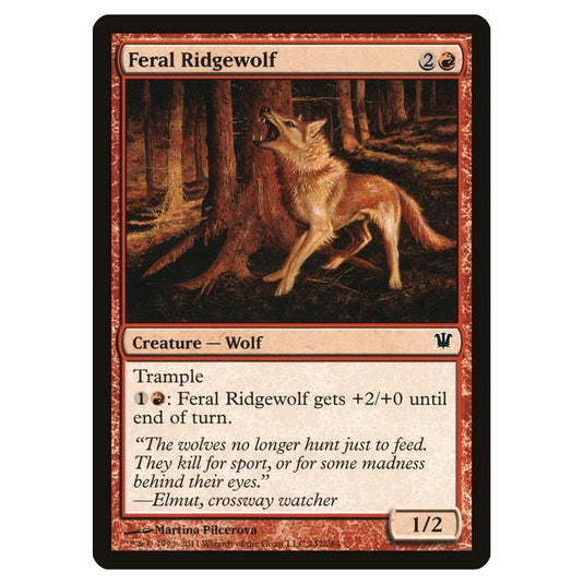 Magic the Gathering - Innistrad - Feral Ridgewolf - 142/264