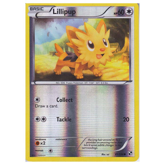 Pokemon - Black & White - (Reverse Holo) Lillipup 81/114