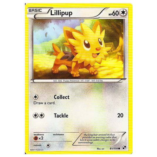 Pokemon - Black & White - Lillipup 81/114