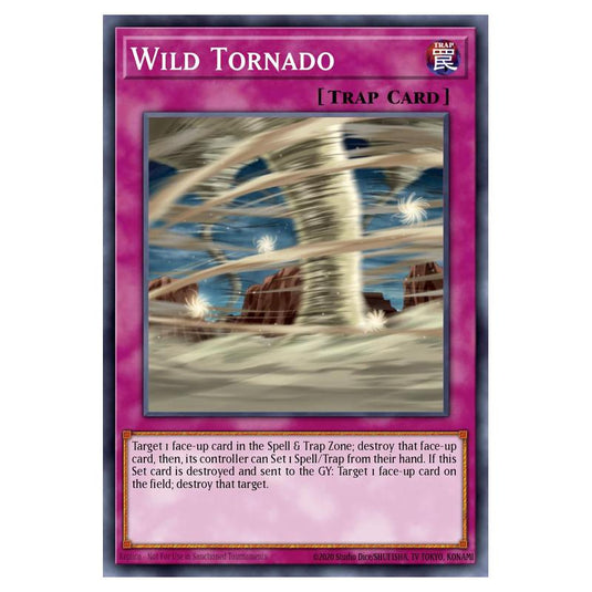Yu-Gi-Oh! - Starter Deck - Duelist Toolbox - Wild Tornado (Common) 5DS3-EN029
