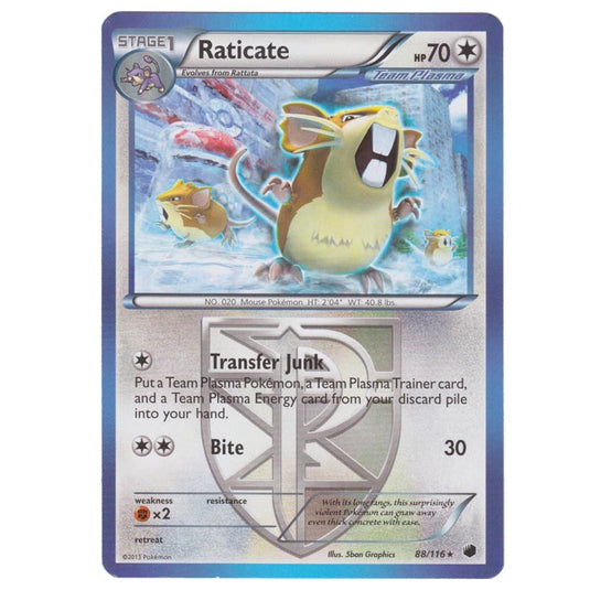 Pokemon - Black & White - Plasma Freeze - Raticate - 88/116