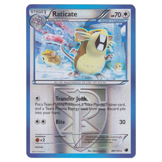 Pokemon - Black & White - Plasma Freeze - (Reverse Holo) Raticate - 88/116