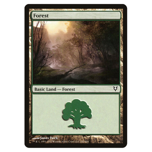 Forest 0242 card from the Magic The Gathering set Avacyn Restored