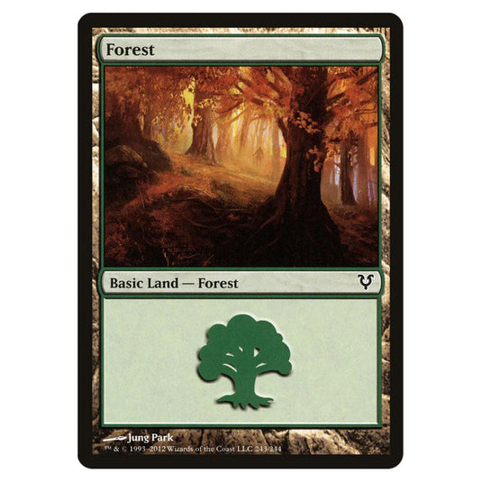 Forest 0243 card from the Magic The Gathering set Avacyn Restored