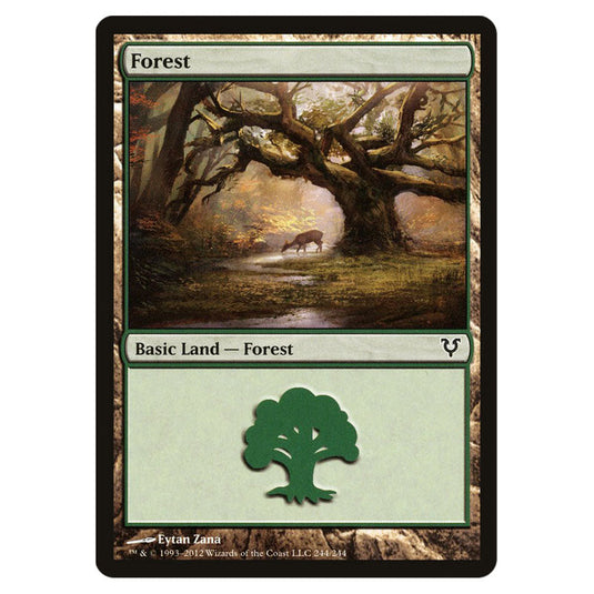 Forest 0244 card from the Magic The Gathering set Avacyn Restored