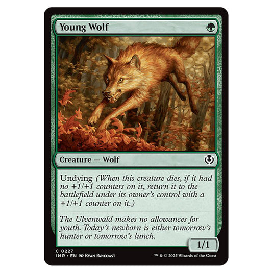 Young Wolf 227 card from the Magic The Gathering set Innistrad Remastered
