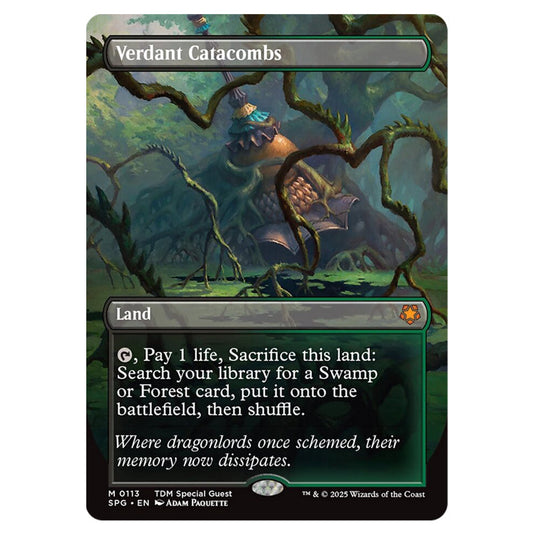 Verdant Catacombs 0113 card from the Magic The Gathering set Tarkir: Dragonstorm - Special Guests