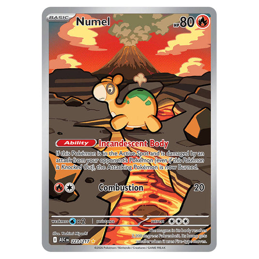 Numel 223 card from the Pokemon set Ascended Heroes