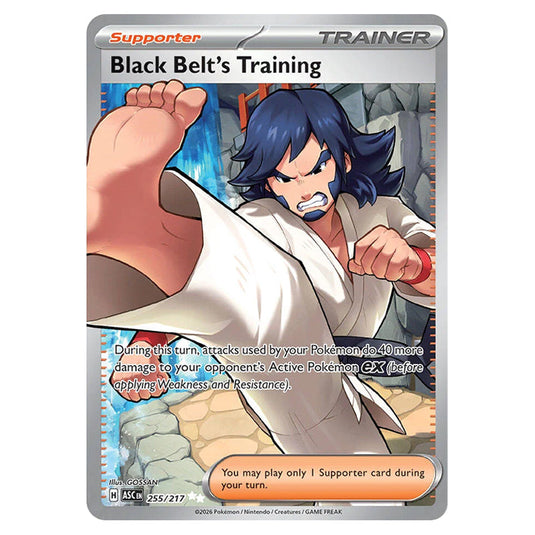Black Belt's Training 255 card from the Pokemon set Ascended Heroes