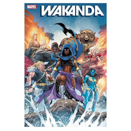 Wakanda - Issue 3 (Of 5) Coello Variant