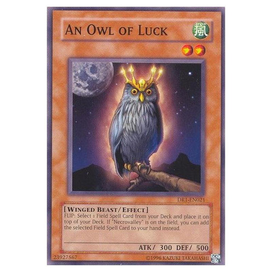Yu-Gi-Oh! - Dark Revelation Volume 1 - An Owl of Luck (Common) DR1-EN021