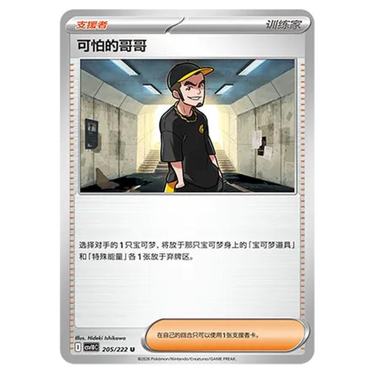 Pokemon - Chasing Glory Together - Ruffian - 205/222