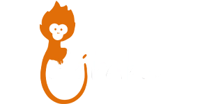 Akibabus