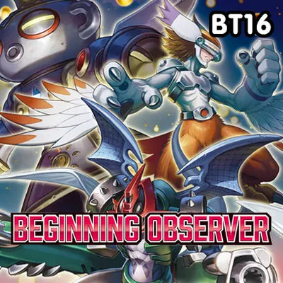 Beginning Observer